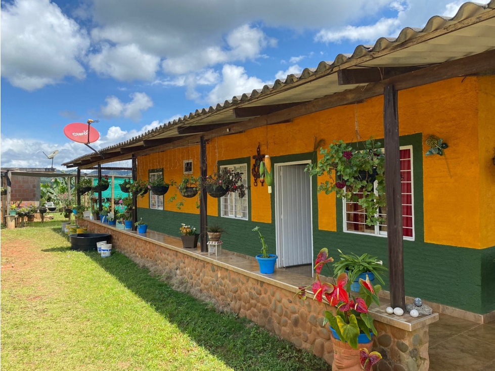 Se vende finca San Andrés, en Bitaco Valle del Cauca.